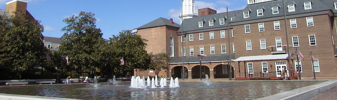 Alexandria Area Info